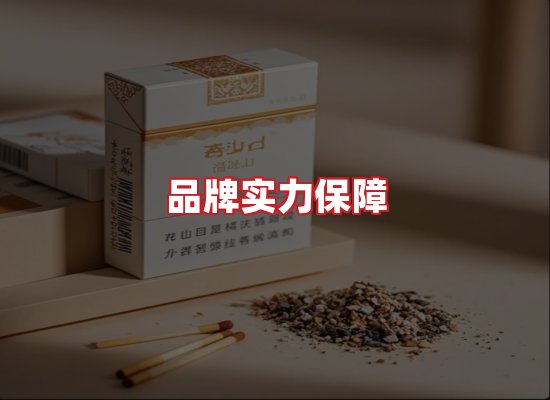专业团队